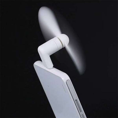 Image_1